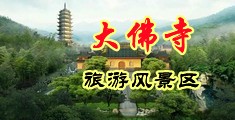 黑丝美女被中出内射中国浙江-新昌大佛寺旅游风景区